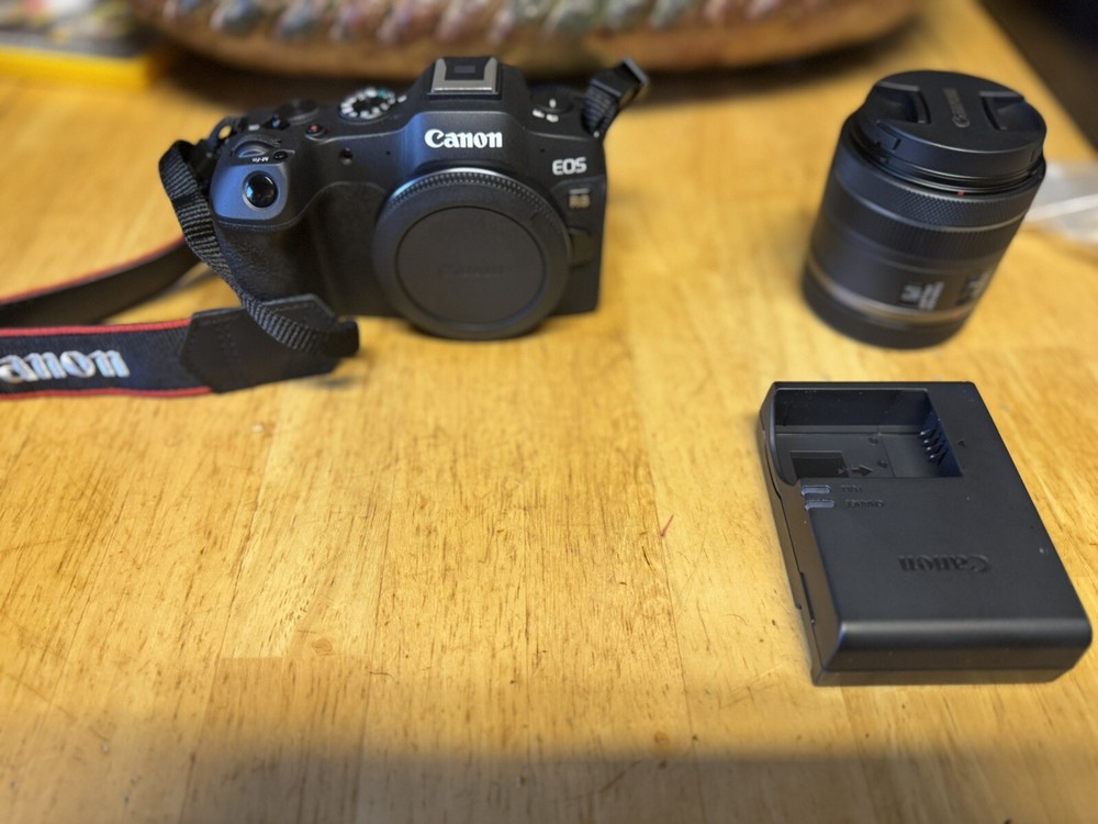 Canon EOS R8 24.2 MP Mirrorless Camera - Black (Kit with RF 24-50mm f/4.5-6.3 IS