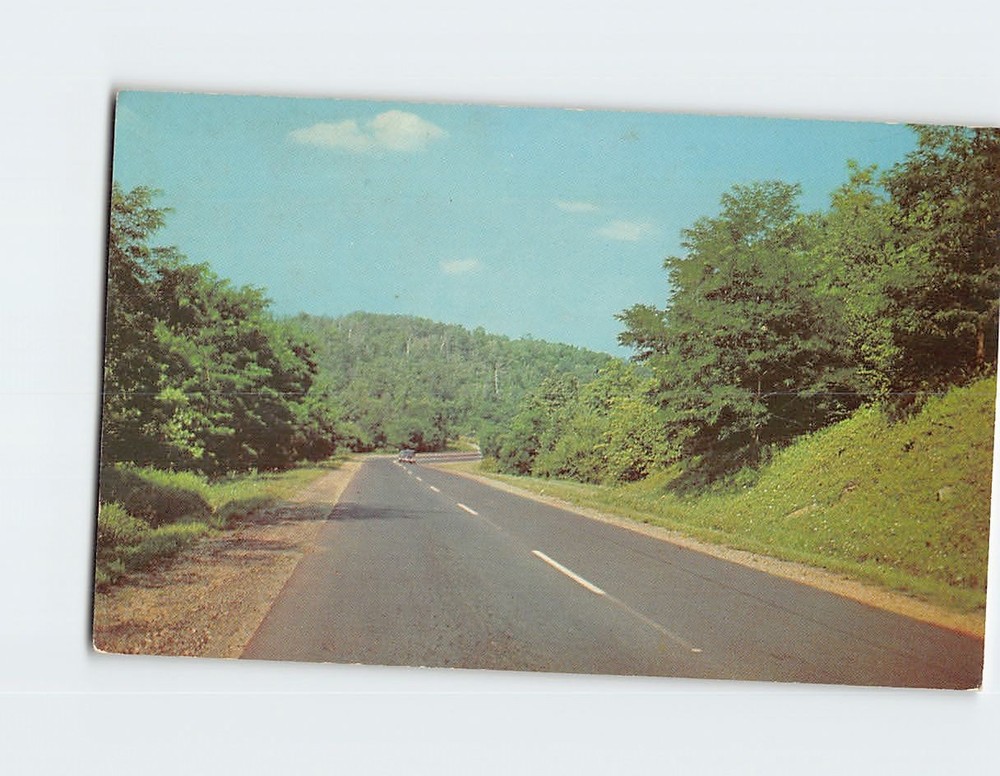 Postcard Road Scene Greetings from Livingston Manor New York USA