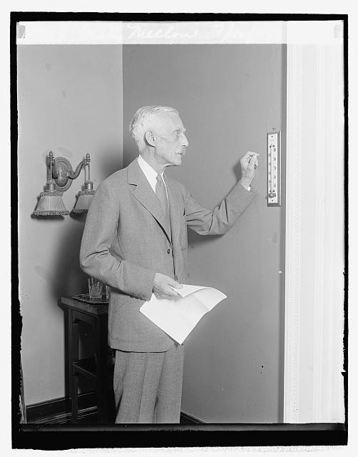 Andrew William Mellon,United States Secretary of the Treasury,Politician,1929