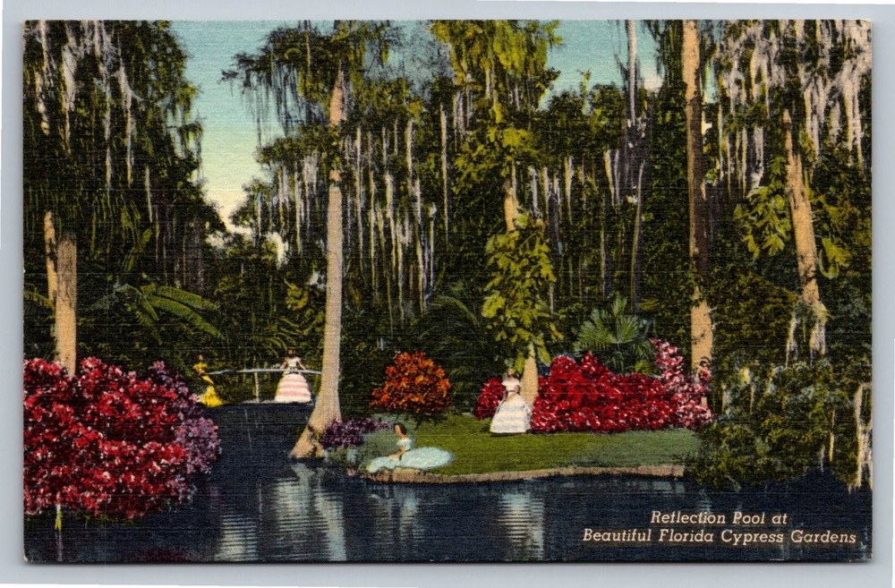 Vintage Reflection Pool Florida Cypress Gardens Linen Postcard