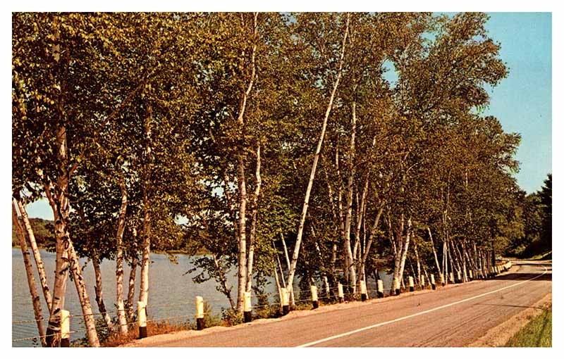 Postcard HIGHWAY SCENE State of Maine ME AR5152