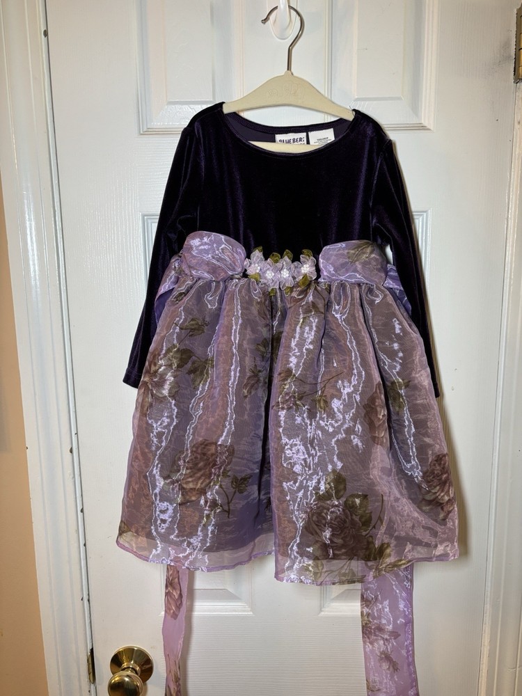 Blueberi Boulevard Girls Purple velvet Floral Dress Size 3T