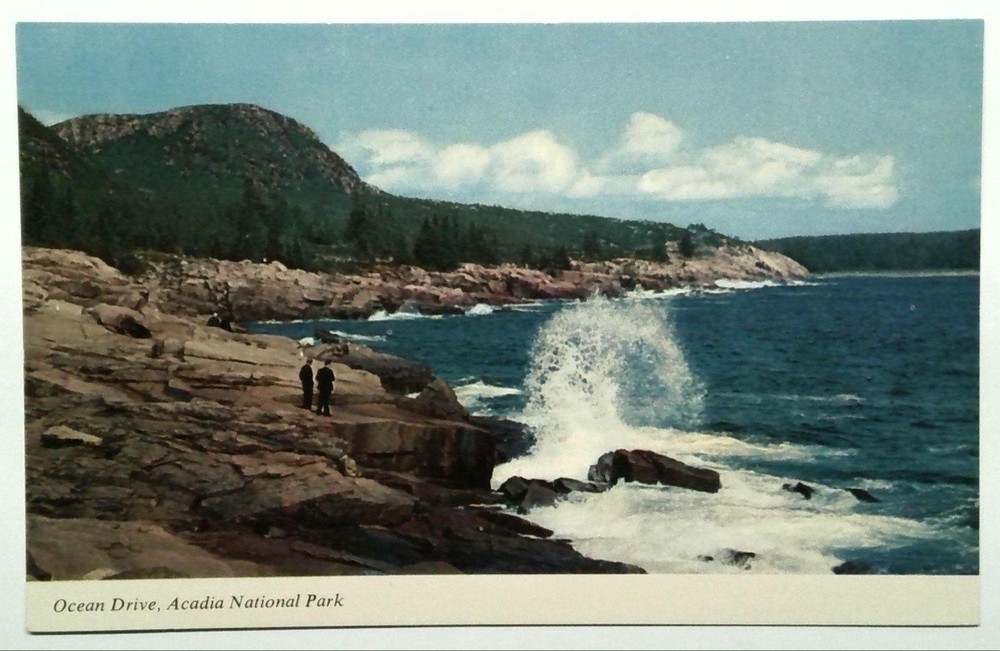 Ocean Drive Acadia National Park Maine Vintage Photochrome Postcard-image
