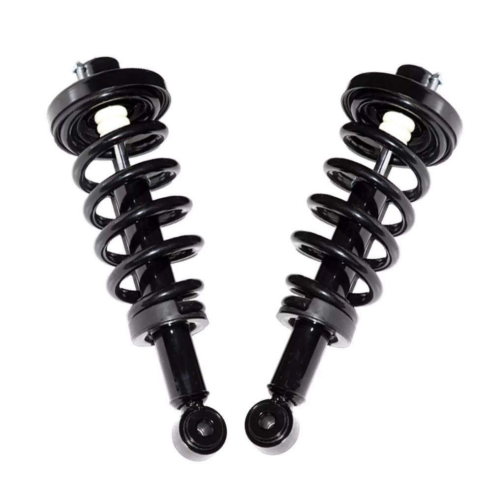 Ford Expedition Lincoln Navigator Rear Struts with Coil Springs Pair