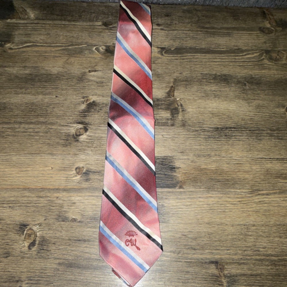 Vintage Countess Wara 100% Silk Men's Tie: Striped Woven Logo