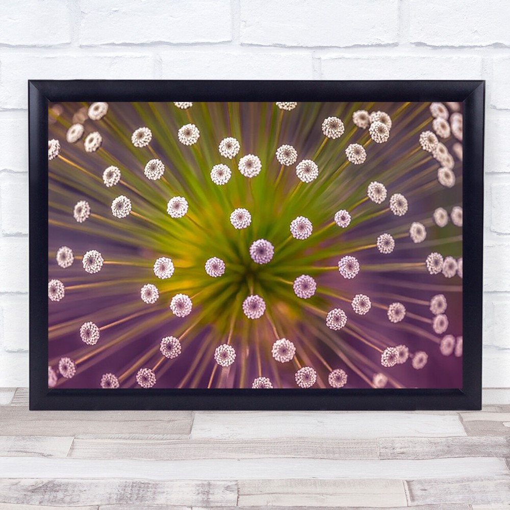 Colours Flower L Purple Bokeh Perspective Pov Wall Art Print