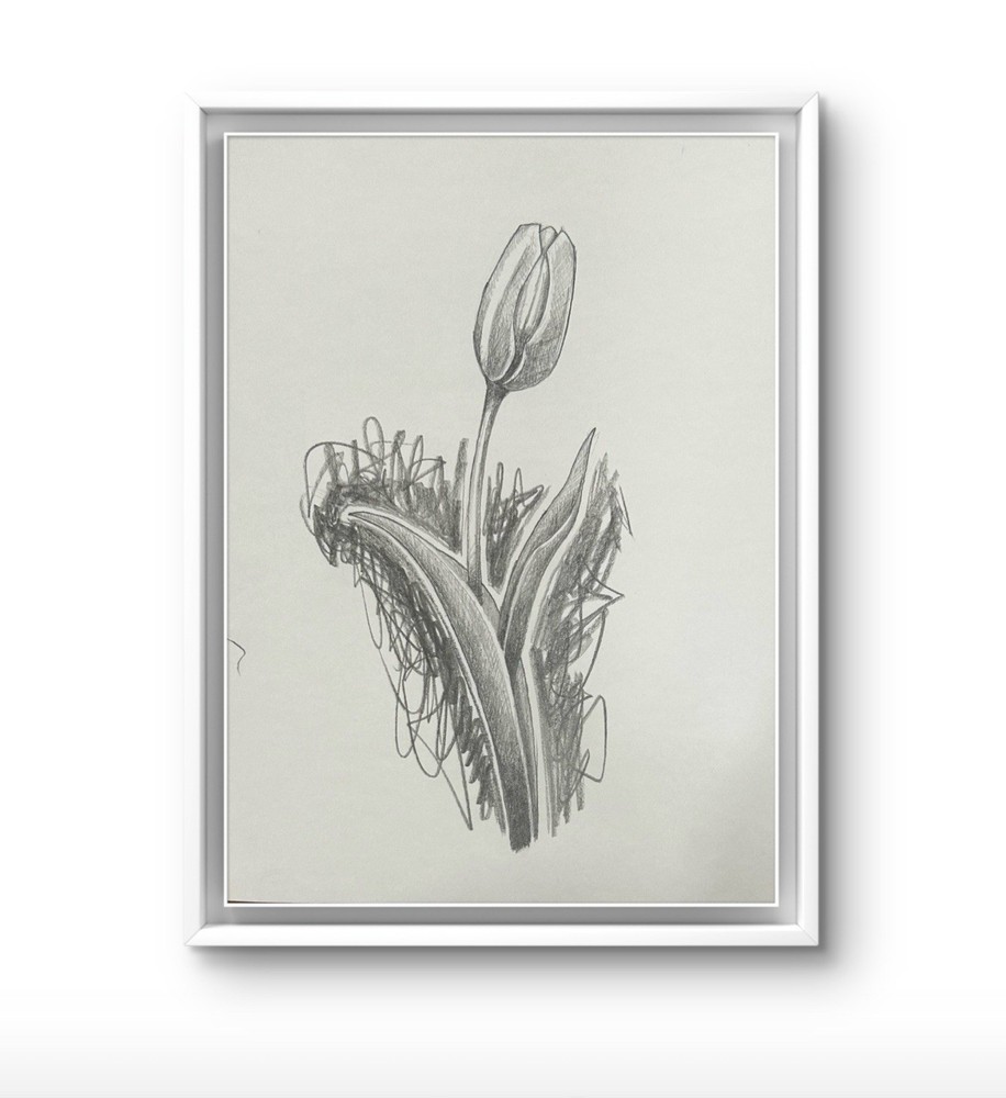 Original Charcoal Pencil Sketch Flower 9x12 paper Modern Wall Art Home Decor