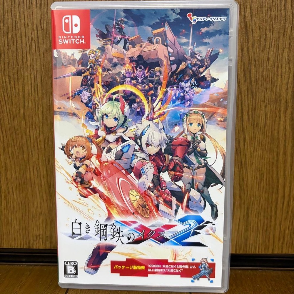 White steel X2 NSW Nintendo Switch Used Tested Japanese version with Case