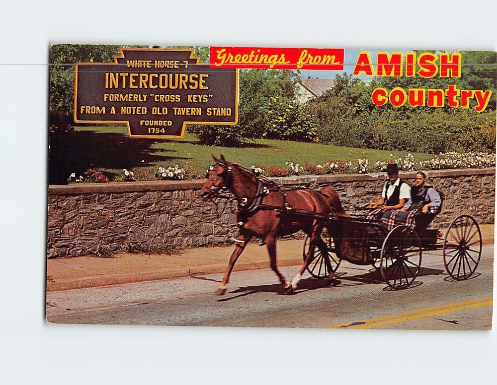 Postcard Amish Couple on Courting Buggy Greetings from Amish Country PA USA
