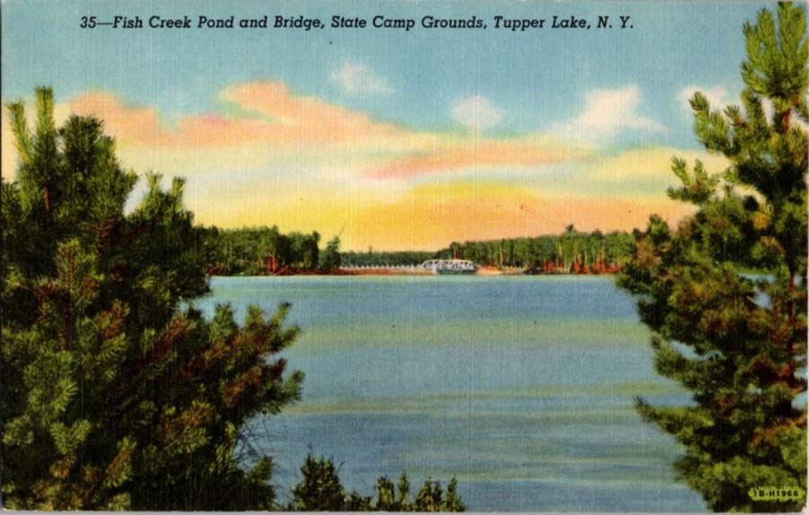 Tupper Lake New York NY : PANORAMIC SCENE m/14 BA3698