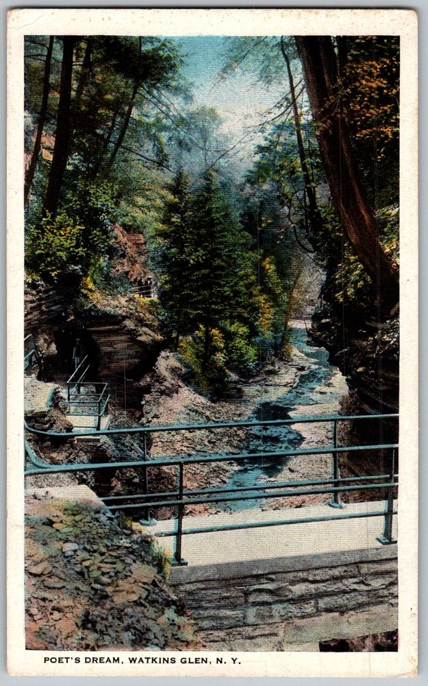 Antique Postcard Poets Dream Gorge Watkins Glen, NY 1910s
