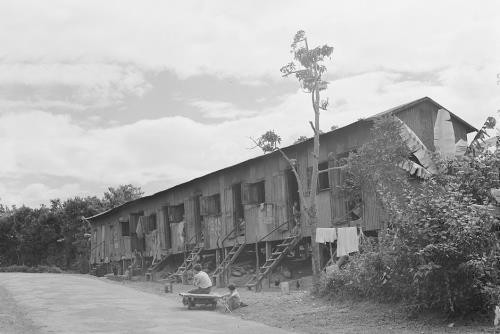 Lajas,Puerto Rico,Lajas Municipality,Farm Security Administration,1942,FSA