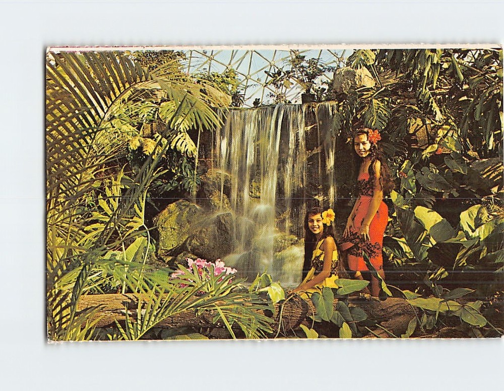 Postcard Tropical Scene in the Climatron Missouri Botanical Garden Missouri USA