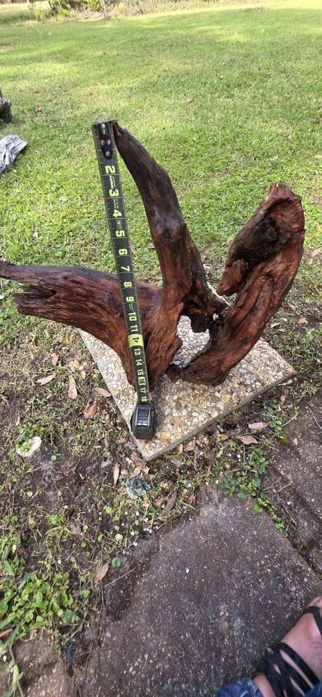 aquarium driftwood extra large