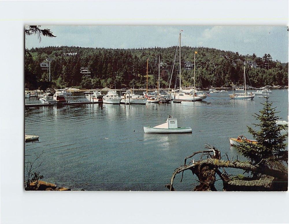 Postcard Northeast Harbor Mount Desert Island Northeast Harbor Maine USA