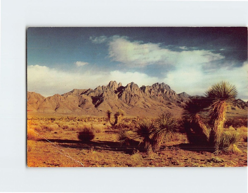 Postcard Organ Mountains Las Cruces New Mexico USA