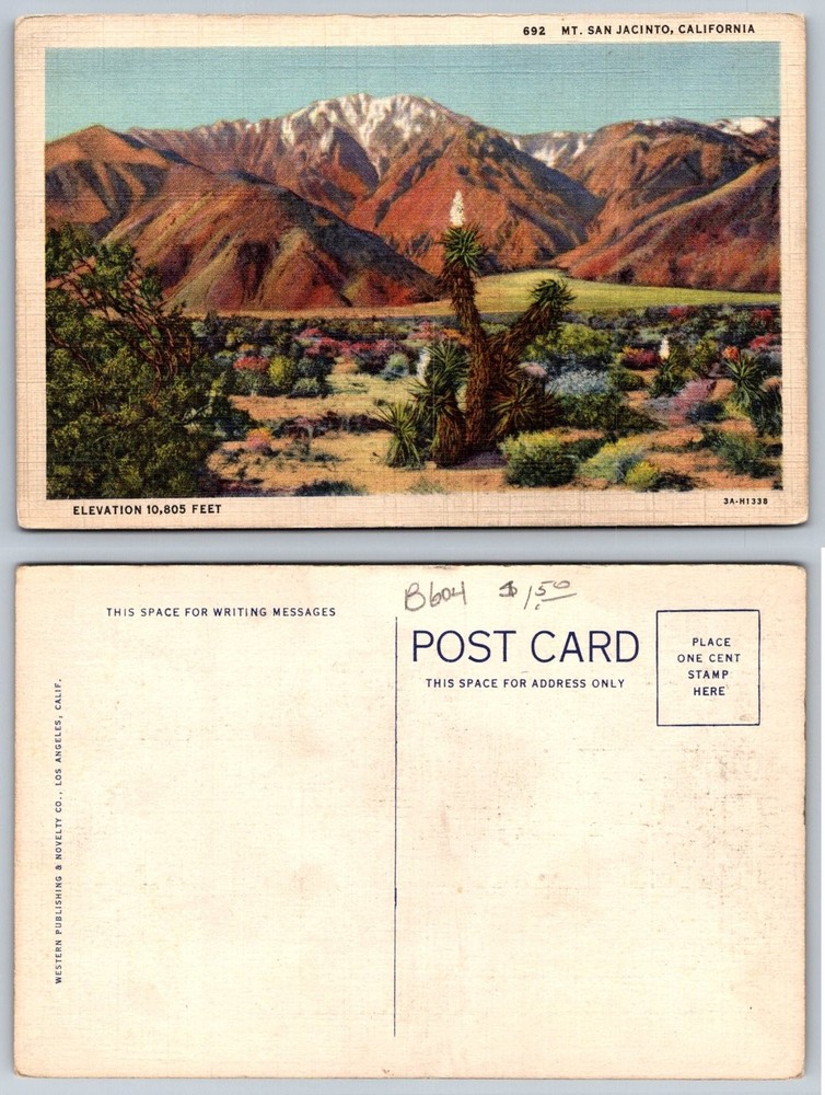 Vintage Linen Postcard Mt. San Jacinto California Desert Mountain Yucca 1940s