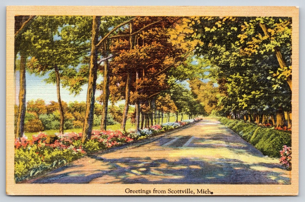 Linen~Greetings From Scottville MI~Tree Lined Road Scene~Tichnor~Vintage PC