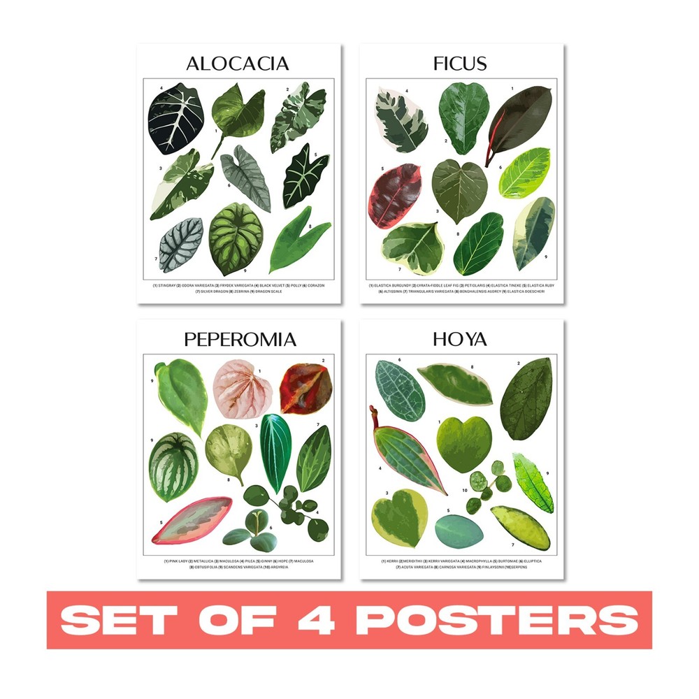 Set of 4 Nature-Inspired Botanical Leaves Wall Posters - Home Interior Art Decor