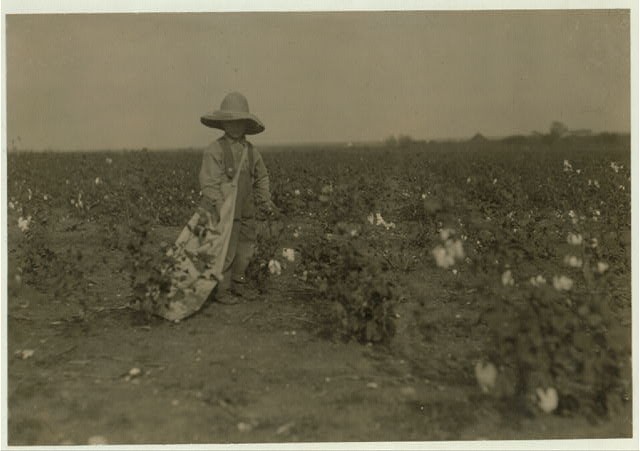 Willie Hesse,West,Texas,Cotton Picker,Child Labor,Lewis Wickes Hine,1913