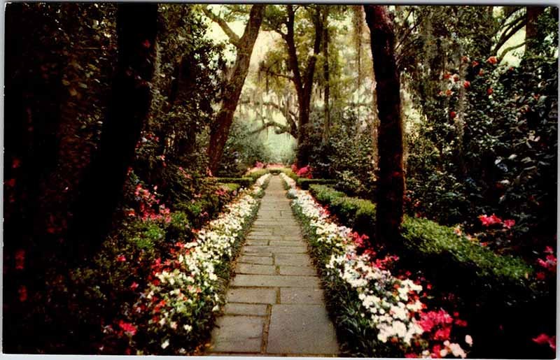 Postcard GARDEN SCENE Mobile Alabama AL m/09 AO8720
