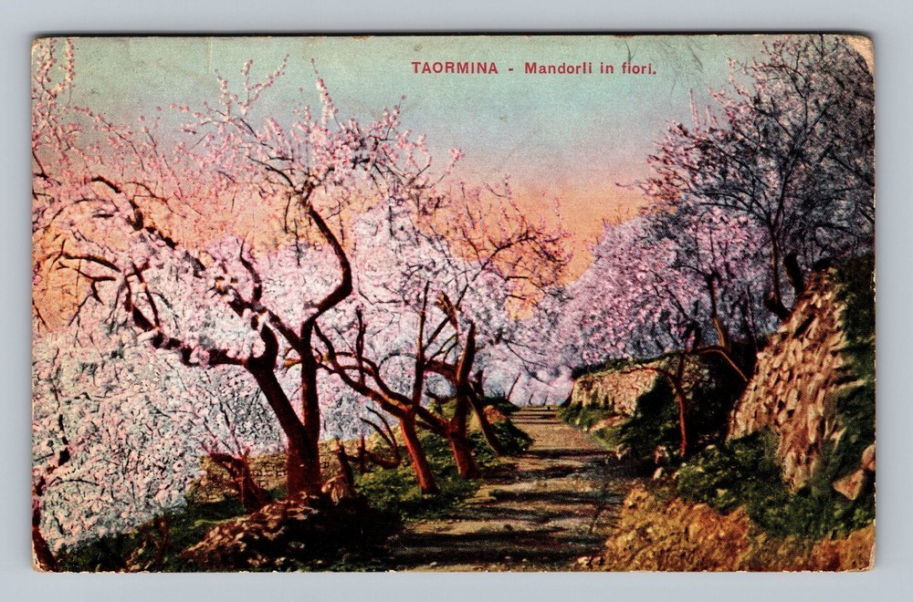 Italy- Taormina Almond Trees In Bloom Old Card View PC Vintage c1927 Postcard