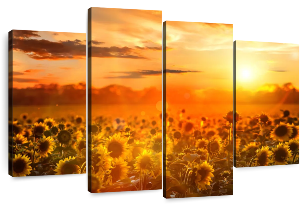 Yellow Sunset Wall Art