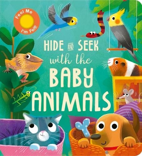 Hide and Seek with the Baby Animals by Littleboy, Molly Board book Book The FastFREE US DELIVERY | ISBN: 1801043531 | Quality Books
