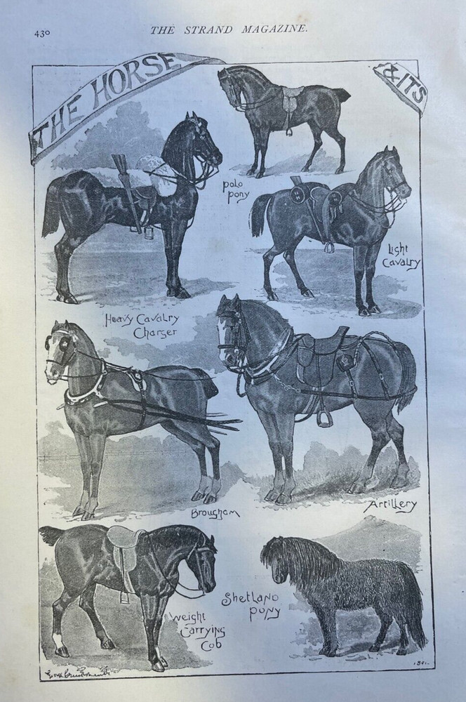 1893 Vintage Magazine Illustration The Horse And Its Occupation