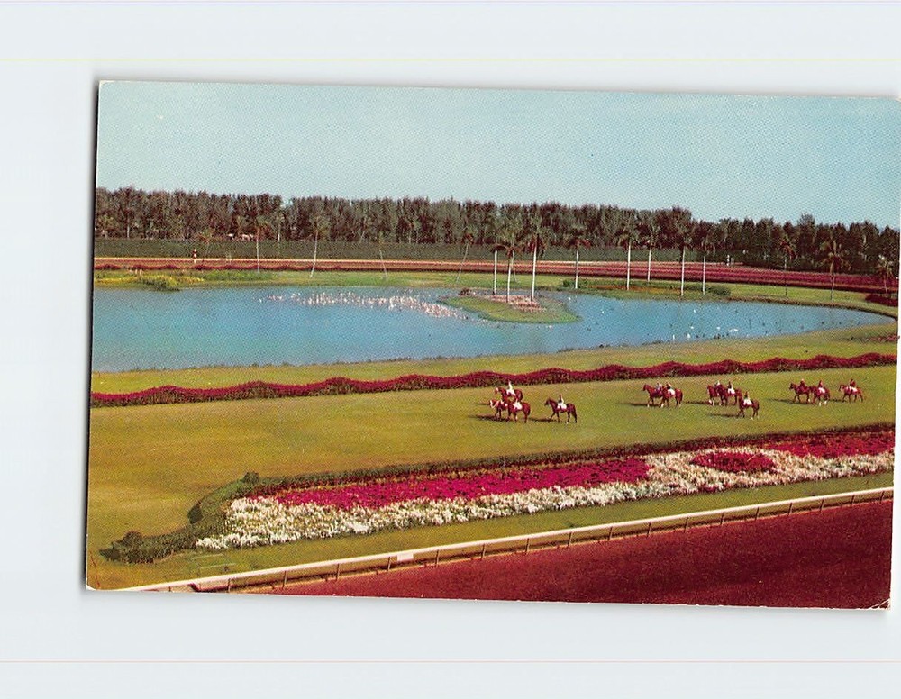 Postcard Parading To The Post On The Turf Hialeah Race Course Hialeah FL USA