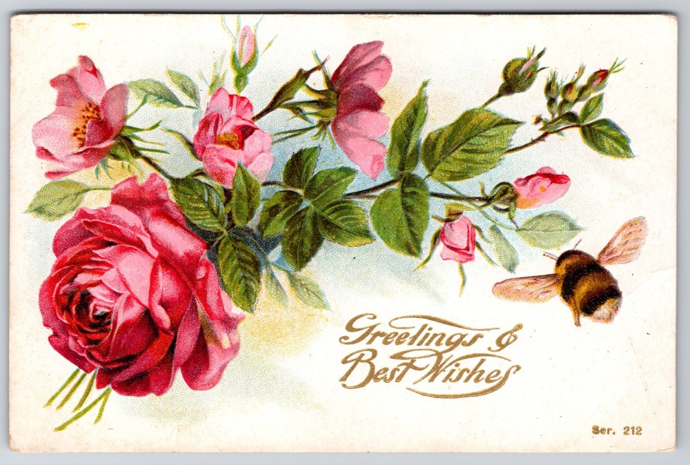 Pink Roses with Bumble Bee 