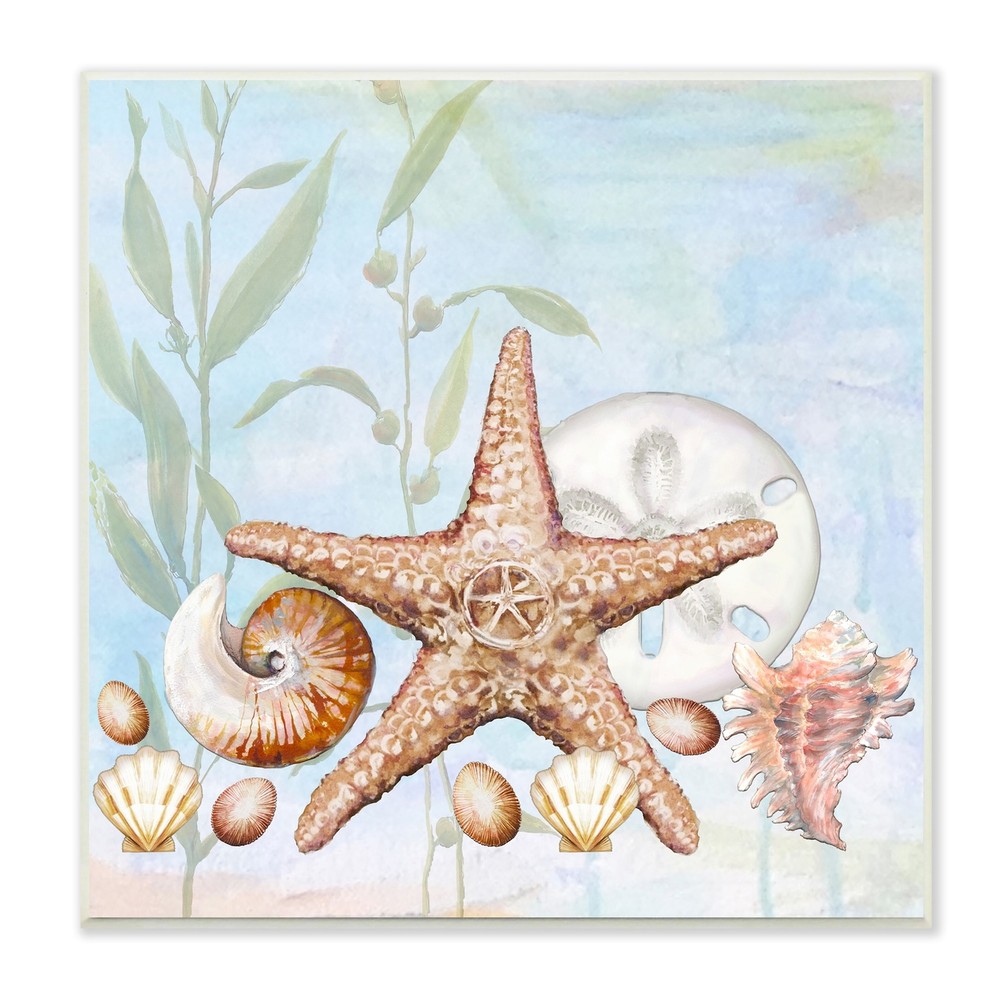 Stupell Starfish Seashells Underwater Plants Ocean Beach