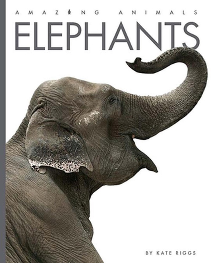 Elephants by Kate Riggs (English) Paperback Book