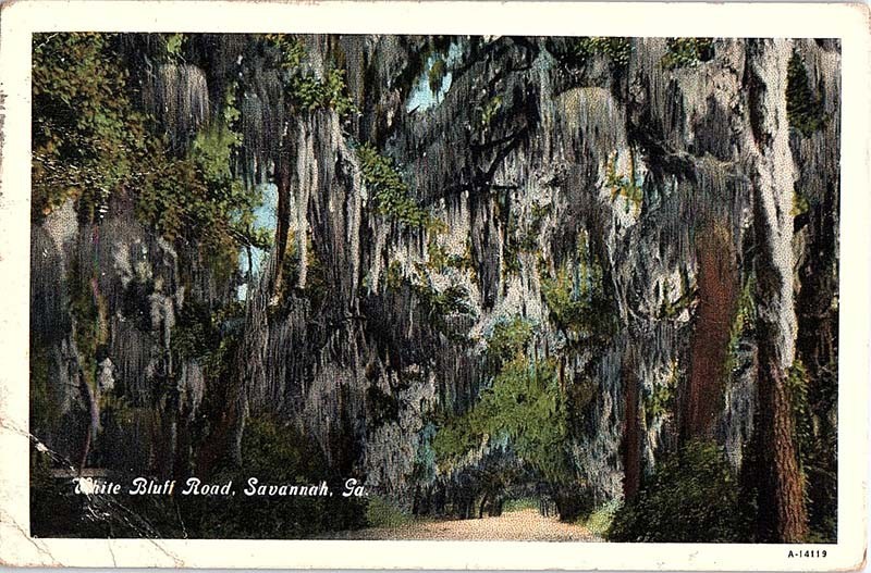 Postcard ROAD SCENE Savannah Georgia GA m/09 AJ3565