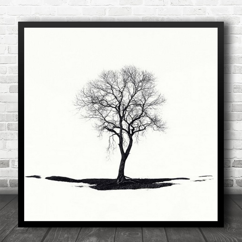 Tree Lonely Alone Trees Contrast Graphic Simple Simplicity Square Wall Art Print