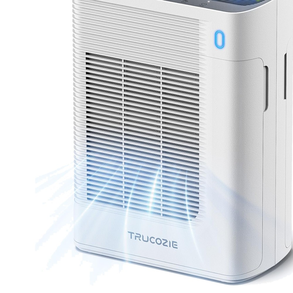 Smart Air Purifier for Bedrooms - Double-Sided Inlet & PM2.5 Sensor Technology