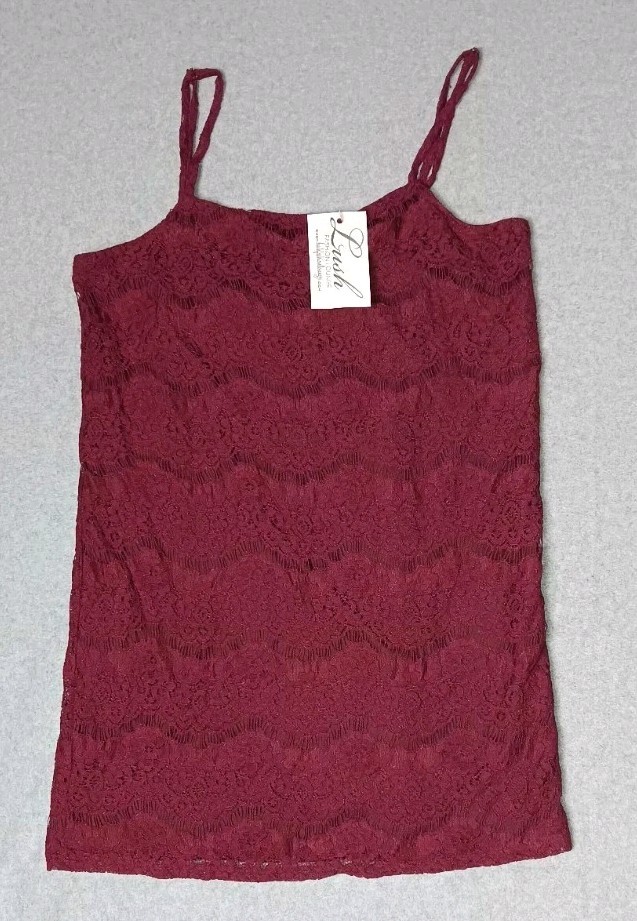 NWT! Audrey 3+1 Lace Slip Mini Dress Womens Size Small Maroon Spaghetti Strap...