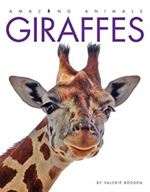 Amazing Animals: Giraffes Paperback Valerie BoddenFree US Delivery | ISBN:0898127416