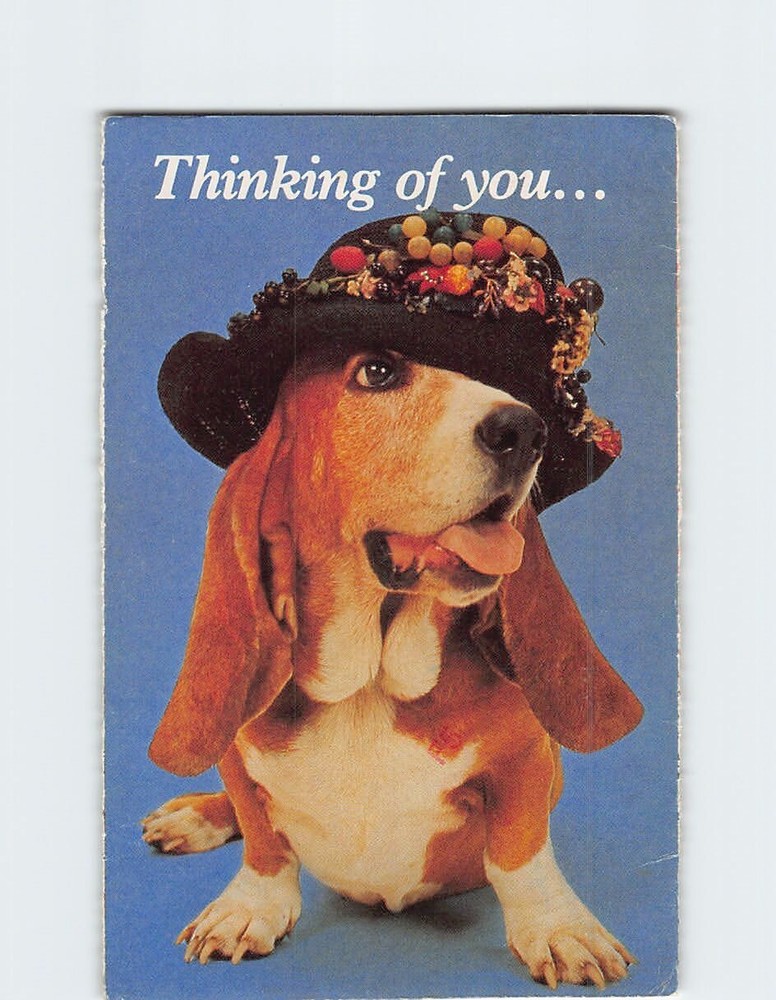 Postcard Thinking of You Dog Wearing A Hat