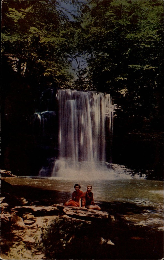 Ricketts Glen State Park Pennsylvania ~ Harrison Wright Falls ~ postcard sku833