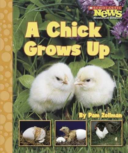 A Chick Grows Up (Scholastic News - Library Binding, by Zollman Pam - Very Good