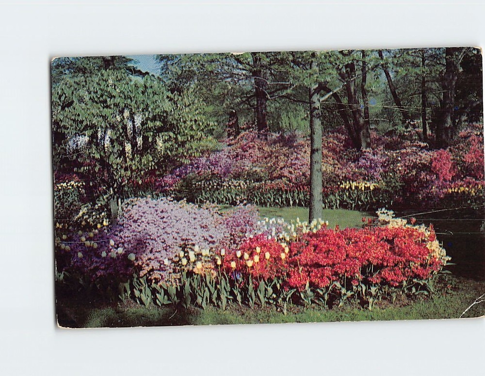 Postcard Sherwood Gardens Baltimore Maryland USA