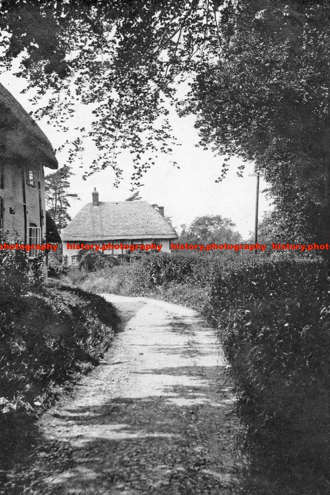 F005954 Pewsey A Rural Scene in the Manningfords