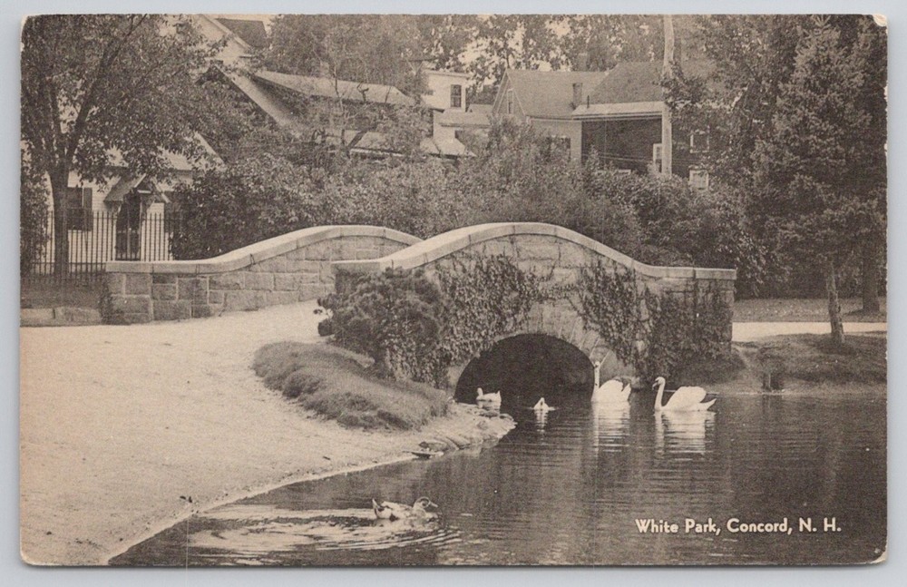 White Park Concord NH Vintage Postcard Stone Bridge Swans F.W. Woolworth