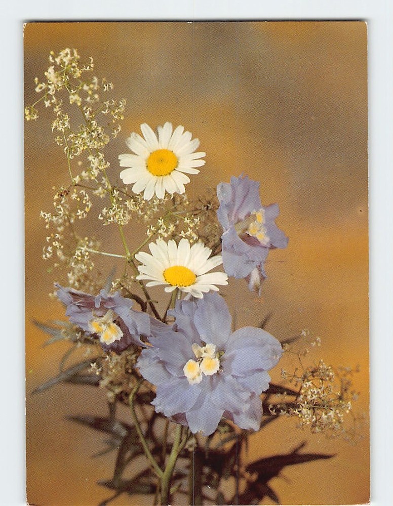 Postcard Beautiful Flowers Art Print