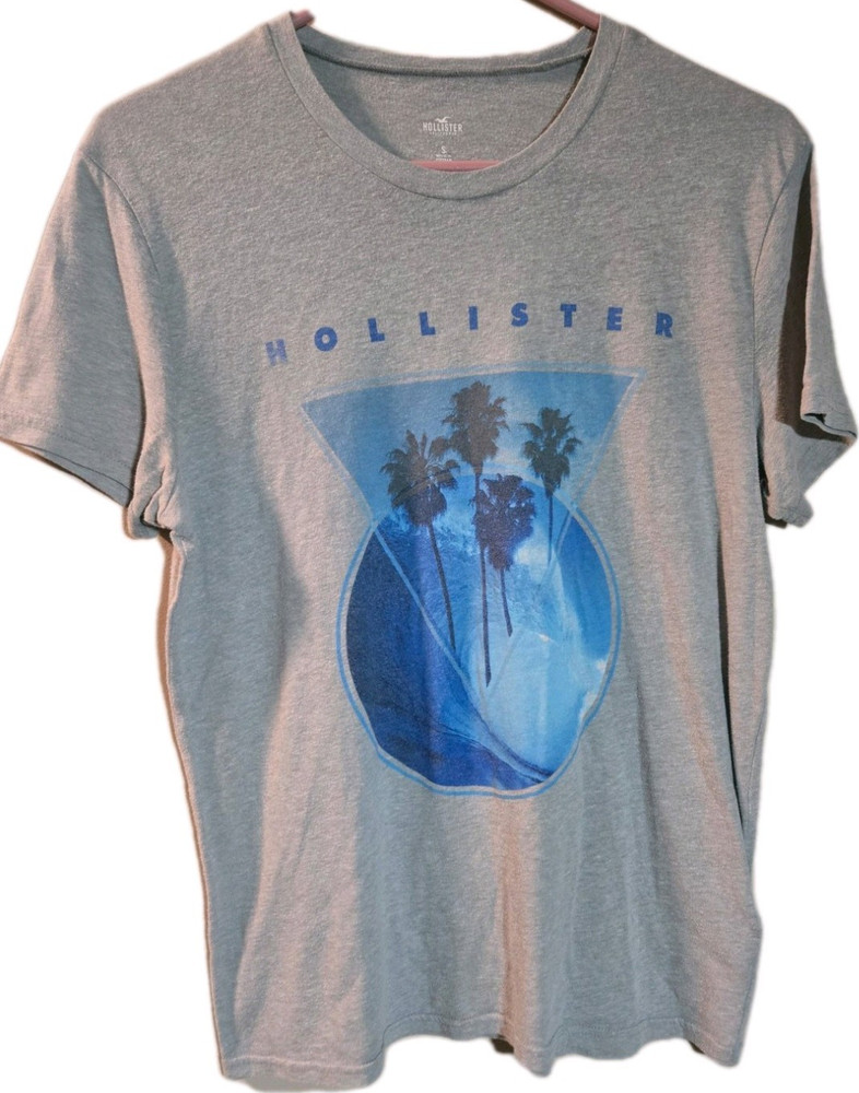 Hollister Men's Gray Blue Graphic Short Sleeve Crew Neck T-Shirt Size S