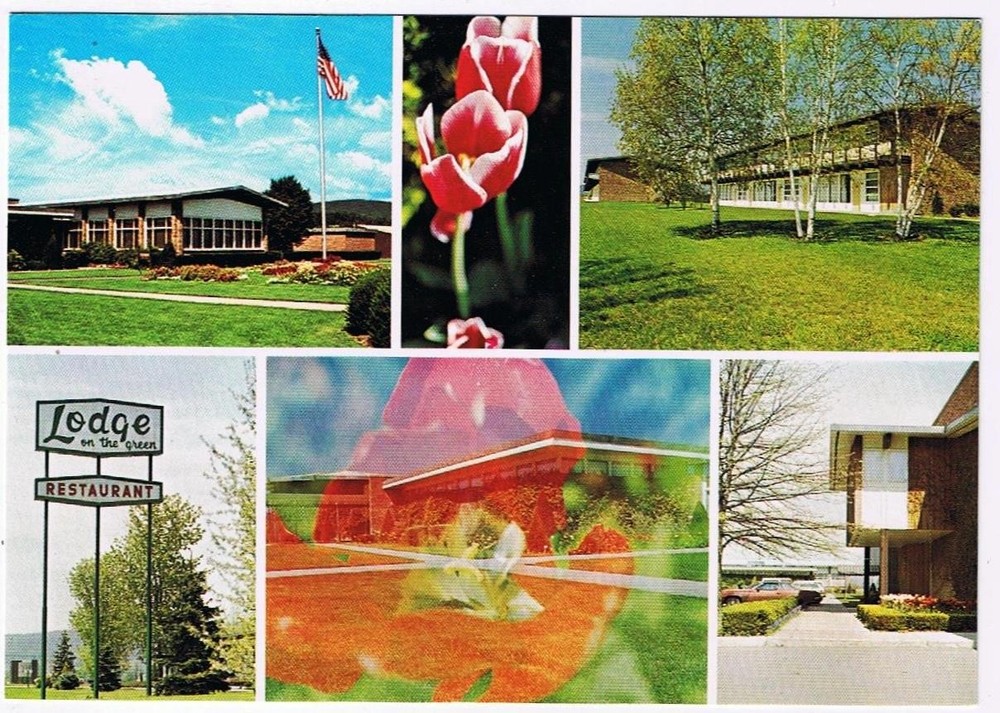 New York Postcard Painted Post Lodge On The Green