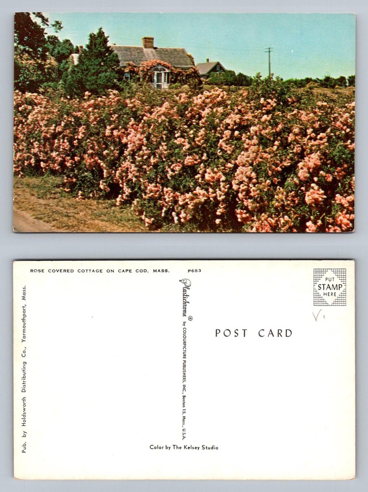 Cape Cod, MA-Massachusetts, Rose Covered Cottage Kelsey Studio Vintage Postcard