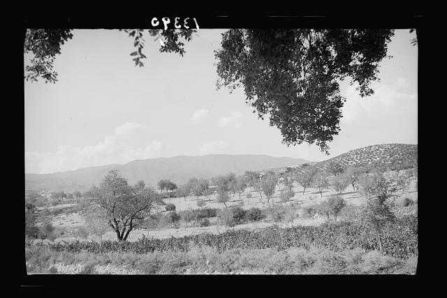 Photo:Cyprus. Mt. Olympus, Platres are situated, on which Troodos