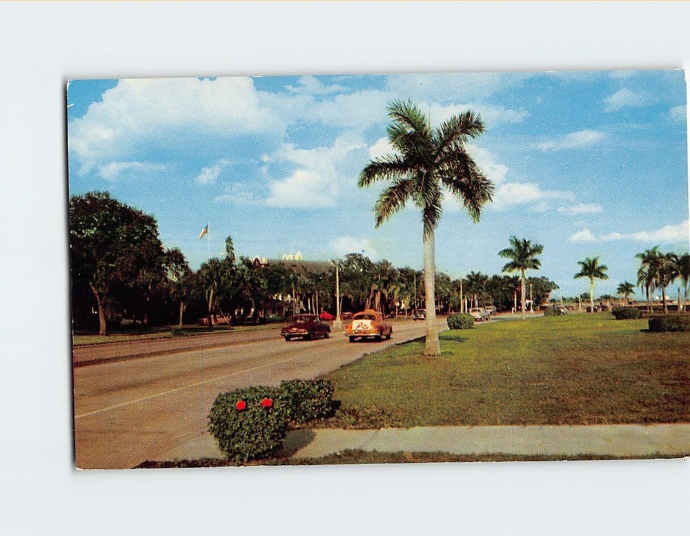 Postcard Bayshore Drive Tampa Florida USA